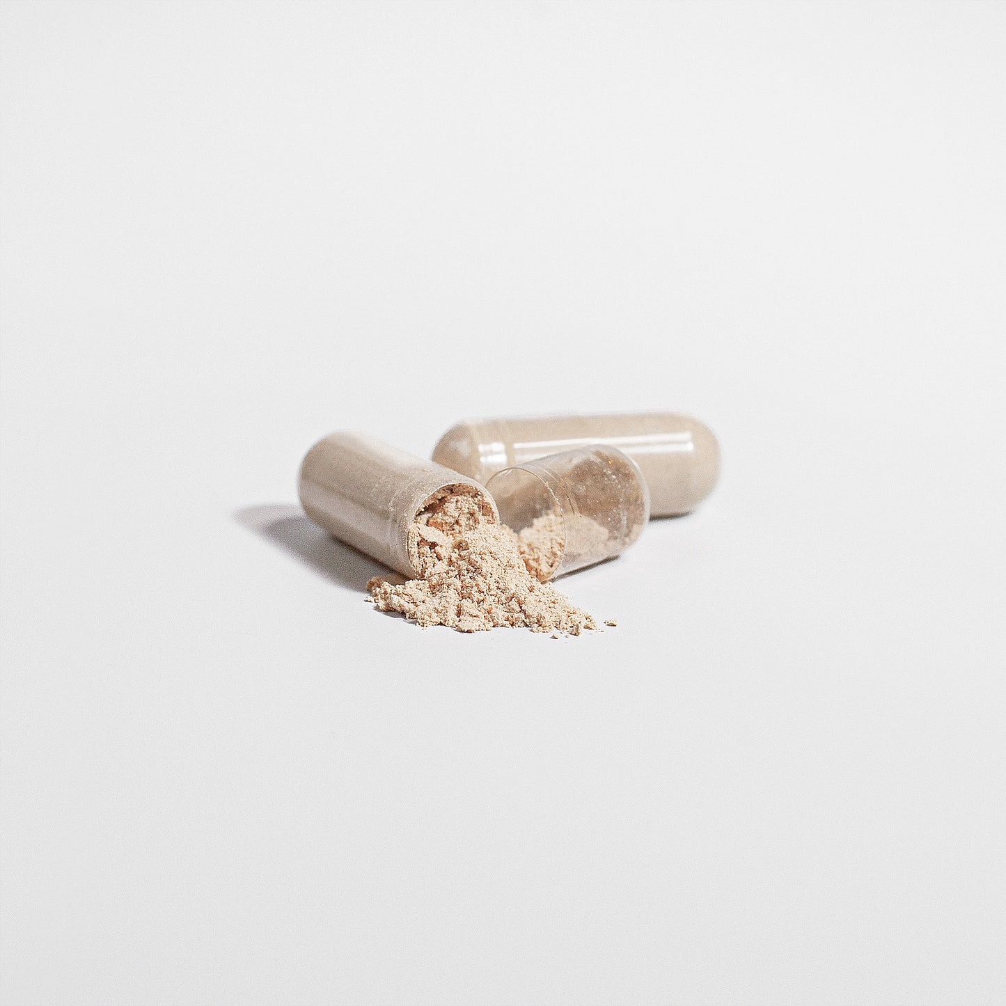 Lion's Mane Mushroom Supplement Capsules - Cognitive & Focus Support | PrimalMush